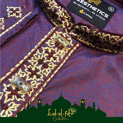 Aesthetic Embroidered ELITE Quality Panjabi – AP59