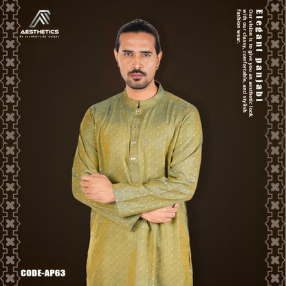 Aesthetic Premium Quality Panjabi – AP63