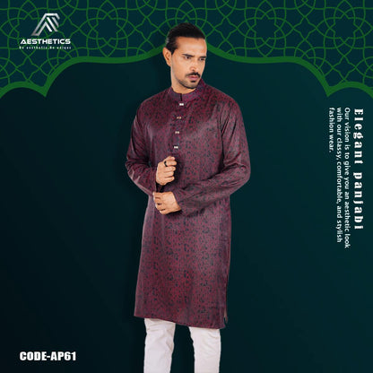 Aesthetic Premium Quality Panjabi – AP61