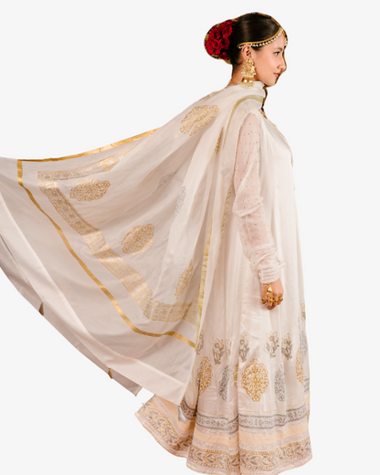 Website Images (70)