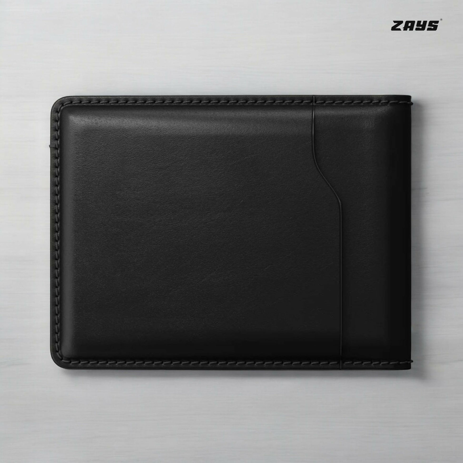 ZSW101 (3)