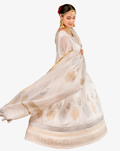 Website Images (66)